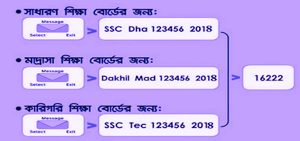 SSC Result 2024 Bangladesh, SSC Results 2024 with Marksheet